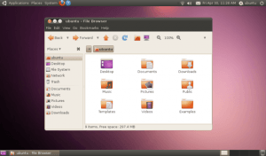 Ubuntu_10.04_screenshot